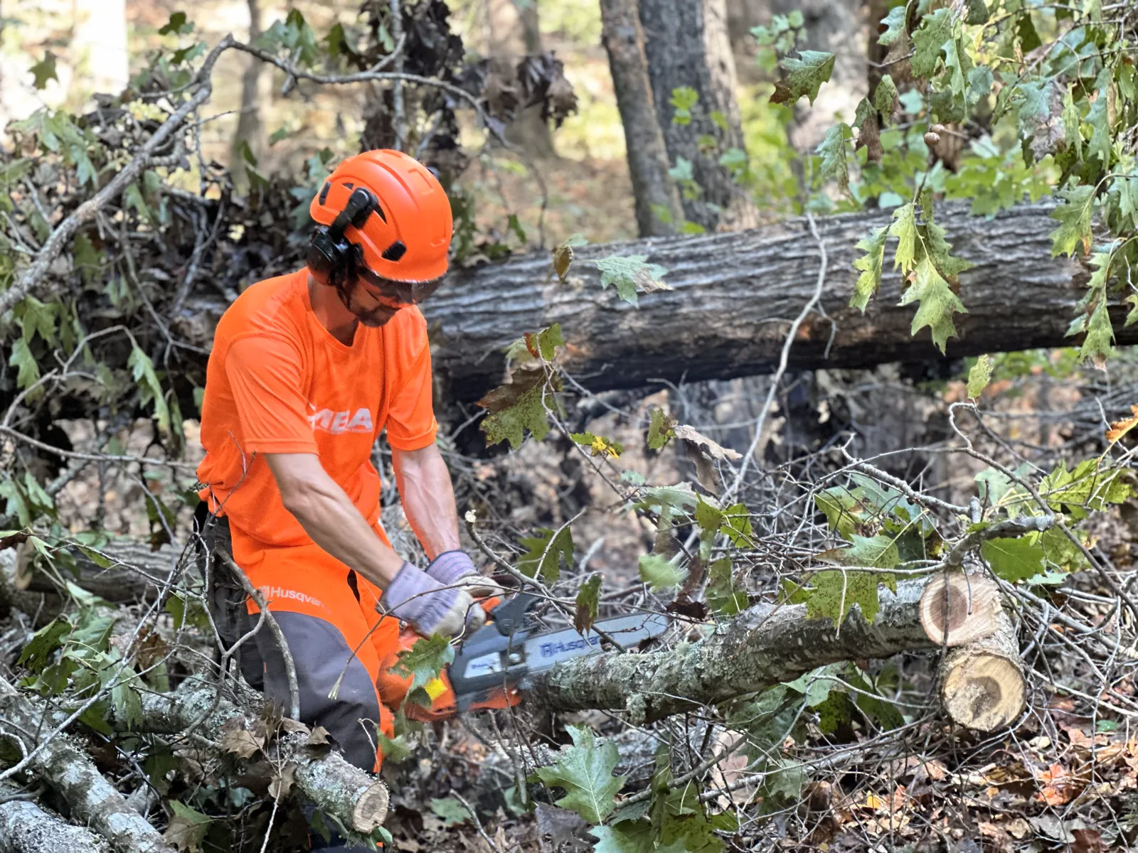 SAMBA volunteers clearing trails after Hurricane Helene