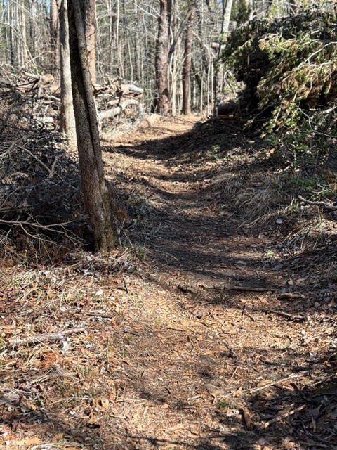 More Trail Work